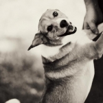 131bw