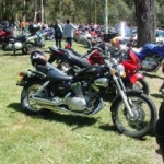 Group Ride to the forest