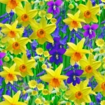 springtime