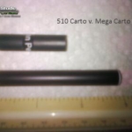 101103 mega carto 001