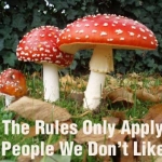 Amanita Rules