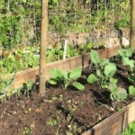 gardens
