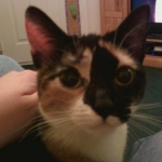 Photo0102