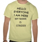 hello everyone tee r66fc1c8892704cfd8551023b12fa4de0 8041a 512