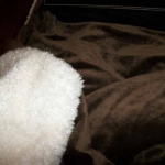 Sherpa Throw