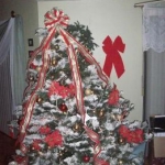 Drunken Tree