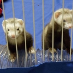 The kids in jail