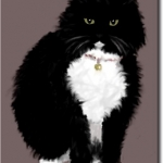 My cat Boots (RIP) done on Wacom tablet, with paint.