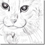 Very first sketch I did on the Wacom. Gimp, using pencil. Mom's cat, Bucky.