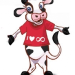 bovina2