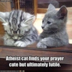 athiest cat