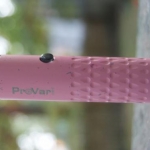 PinkVari2.jpg