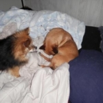 Leighla and Dolce