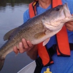 fish 1 6 3 12
