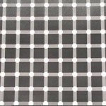 graydots 

count the gray dots :)