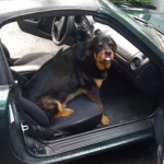 "Zoe...get outa' my car!"