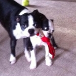 Dexter and daughter Dulce