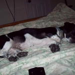 Sam