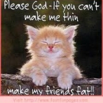 cat thin