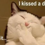dog kissing cat