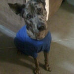 That's MY tshirt, Beau!  =)
