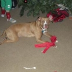my meeka