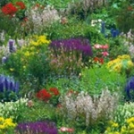 country garden tile2