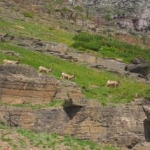 Glacier National Park
Montana