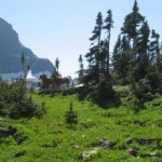 Glacier National Park
Montana