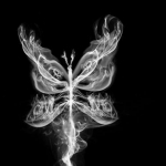 work 4206817 1 flat,550x550,075,f butterfly smoke