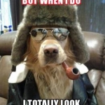 Aviator Dog