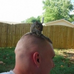 a squirrel on my head