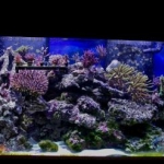 nice full tank shot