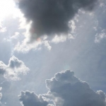 IMG 7873
