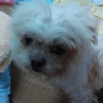 IMG 20140630 202930