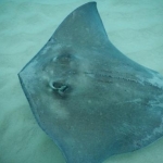 DSCN0953