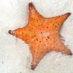 DSCN1448