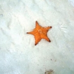 DSCN1445