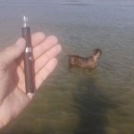 Molly Vape