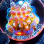first implosions