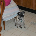 Kemo in his younger years