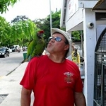 keywest - my little buddy here chewed the crap out of the buttons I had on my hat. Bad Birdie!