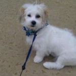 Jackson