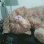 Dobbie Aka fattie boy