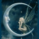 moon fairy