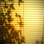 blinds1
