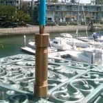 IMG00247 20110524 1055