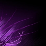 purple abstract wallpaper