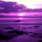 purpsunset2