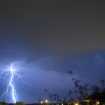 Lightning tree!
